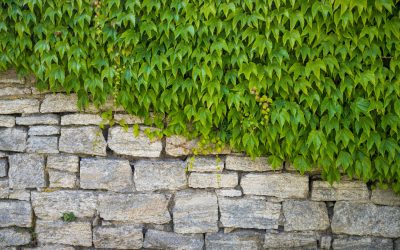 Landscaping in Chigwell | Costs & Design 2026 | PMB